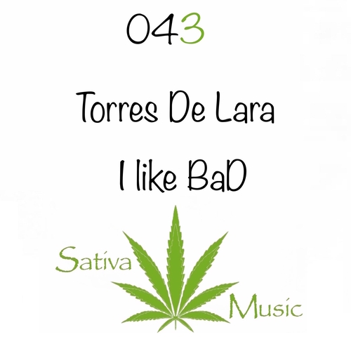 Torres De Lara - I Like BaD [SM043]